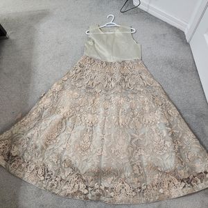 Pakistani/Indian dress maxi